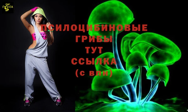 круглые Дегтярск