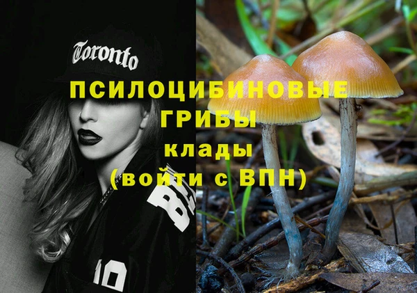амф Дубна