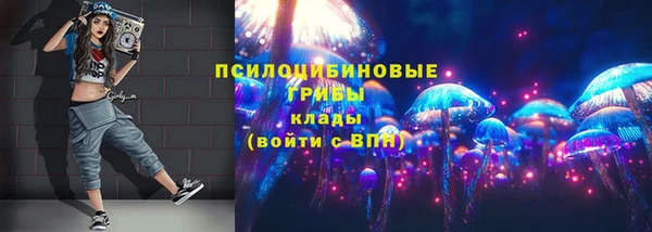 бошки Данков
