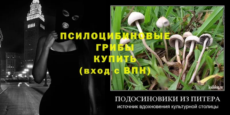 Галлюциногенные грибы Magic Shrooms Котельнич