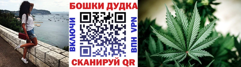 kraken tor  Котельнич  Канабис план 